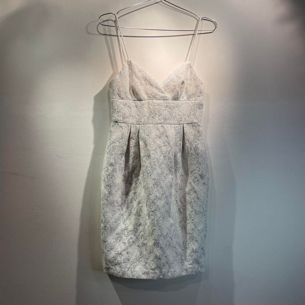 Bcbgmaxazria Women's White and Silver Dress